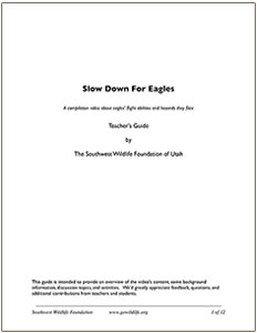 Slow Down For Eagles Teacher's Guide