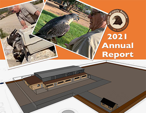 Enoch Wildlife Rescue Annual Report